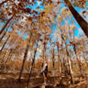 Meet your Posher, Broadys